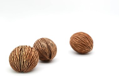 Beyaz arka planda izole bitki tohumları