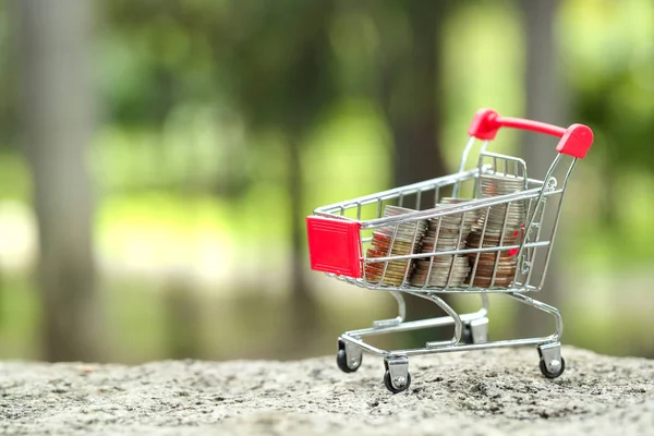 trolley with money, idea for shopping using as business background