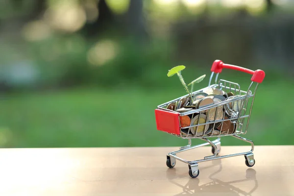 Monety wózka z roślin na stole, pomysł na zakupy i płatności online za pomocą jako tło biznesowe — Zdjęcie stockowe