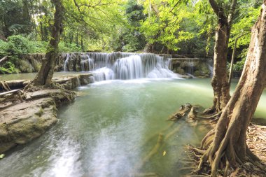 Kanchanaburi, Tayland yeşil ağaçlar ile doğada su düşüşü