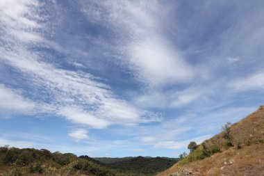 mavi gökyüzü ile dağ kuru otlak