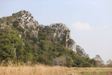 mavi gökyüzü ile dağ kuru otlak