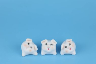 2019 Çinli Zodiac Sign yıl Pig, mavi arka planda beyaz sevimli domuzlar