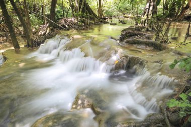 Kanchanaburi, Tayland yeşil ağaçlar ile doğada su düşüşü