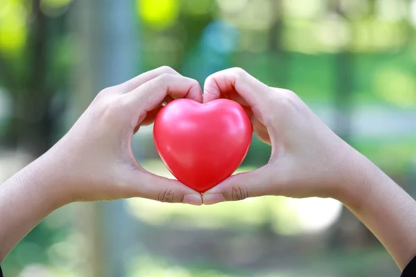 Human hands doing heart symbol on nature backgroun — Stock Photo, Image