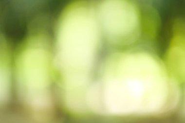 Bokeh ile doğal yeşil arkaplan 