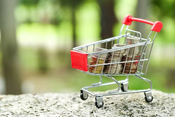 trolley with money, idea for shopping using as business background