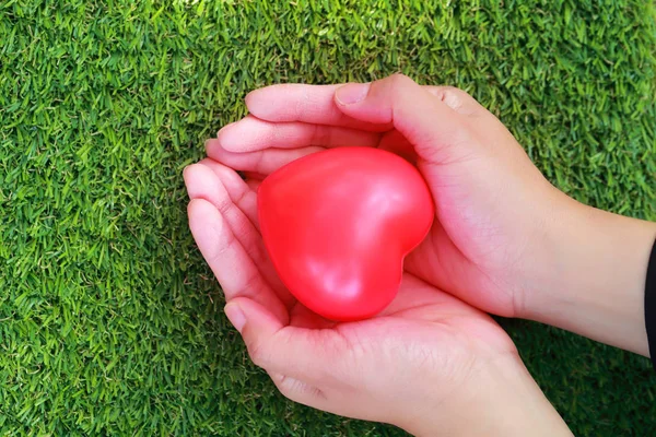 Human hands holding red heart on green glass — Stock Photo, Image