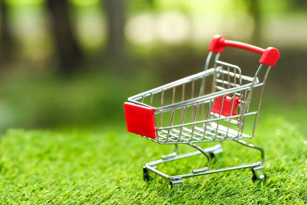 Wózek na zielonej trawy pomysł na zakupy — Zdjęcie stockowe