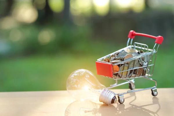 trolley with coins and electric glass bulb, idea for shopping and online payment using as business background