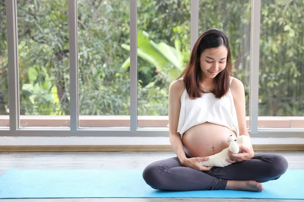 Mladá Asijská těhotná žena, která nosí bílou košili, se stará o vychovávání dítěte tím, že nosí medvídka se spokojeném a usmědkým ksichtem (zdravotní péče) — Stock fotografie