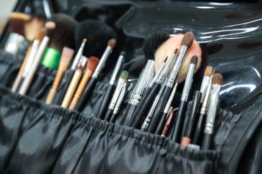makyaj fırçaları ve araçları seti