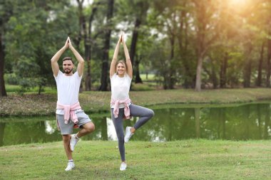 genç ve sağlıklı çift insanlar parkta yaz aylarında yeşil ağaçlar ile açık uzanan meditasyon veya yoga zevk