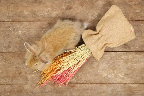 Draufsicht auf junge niedliche braune Osterhasen mit buntem Gras auf Holz-Hintergrund — Stockfoto