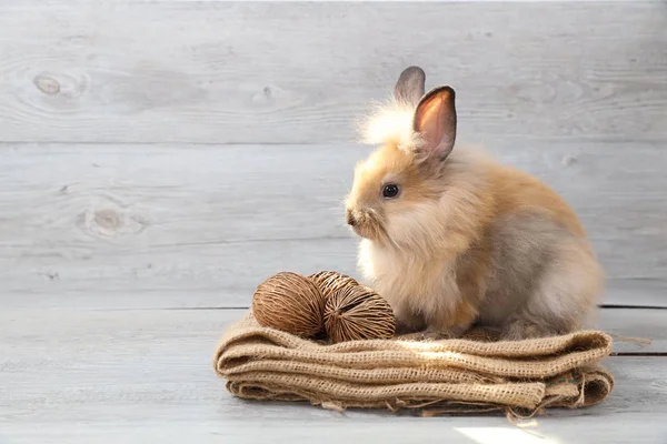 Carino coniglio di Pasqua marrone su sacco con fondo in legno — Foto Stock