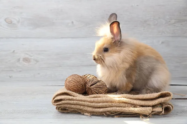 Carino coniglio di Pasqua marrone su sacco con fondo in legno — Foto Stock