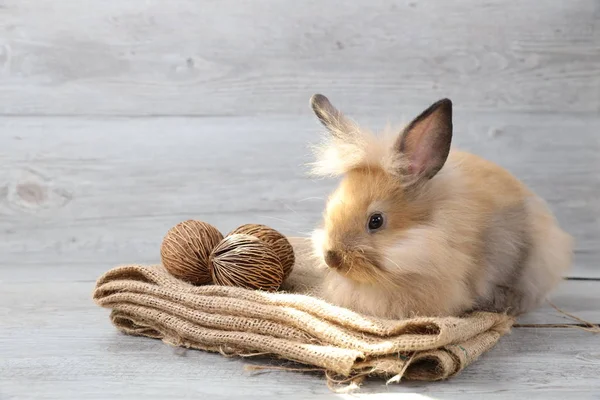 Cute brown easter bunny rabbit on sackcloth with wood background — Stock Photo, Image