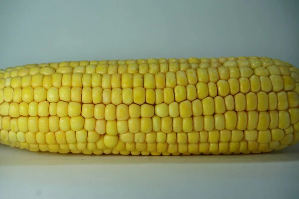 A corn in the middle in laying position — Stock Photo, Image