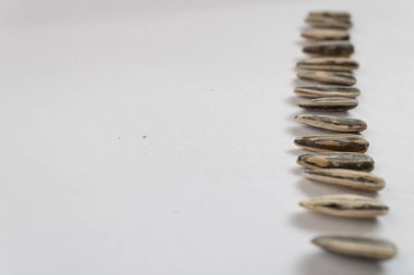 ayçiçeği tohumu üzerine beyaz izole