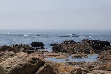 Praia do Castelo do Queijo porto - Portekiz