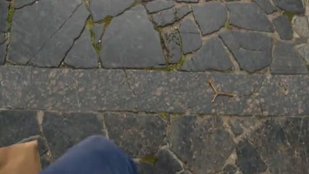 Sneakers Paving Stones Top View Sanny Day — Stock Video