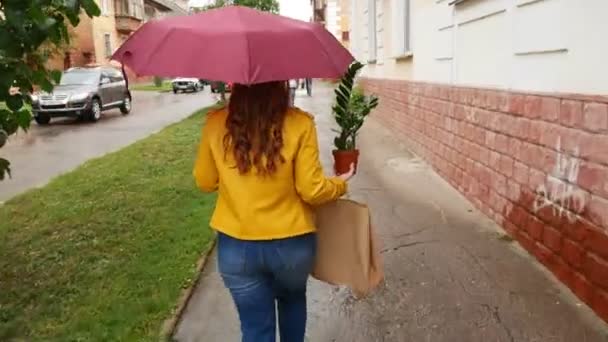 Une Fille Avec Parapluie Promène Dans Ville Avec Une Plante — Video