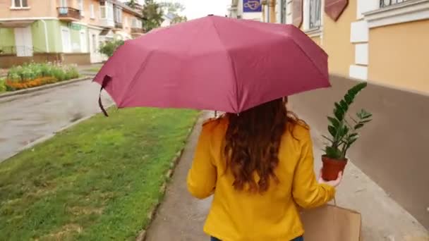 Şemsiyesi Olan Bir Kız Şehirde Bir Bitkiyle Dolaşıyor Yağmur Yağıyor — Stok video