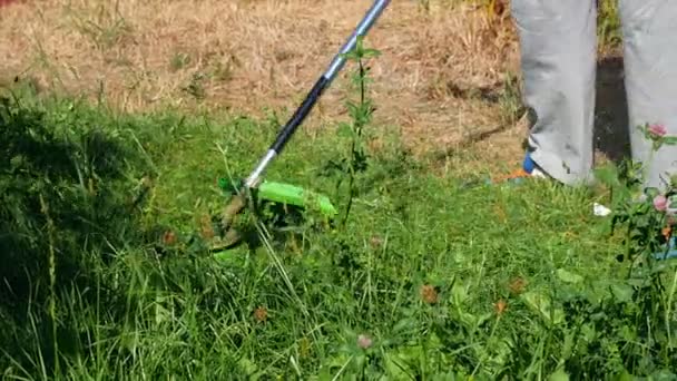 Mec Avec Shirt Rose Fauche Herbe Avec Une Faux Électrique — Video