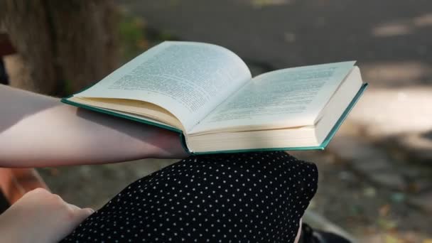 Chica Lee Libro Parque Banco Madera — Vídeo de stock