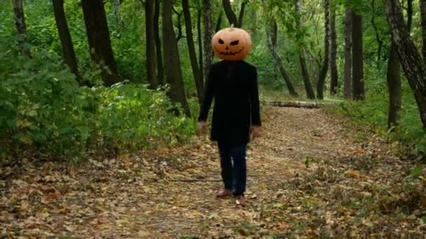 ジャック パンプキンヘッドが森の中を歩くと ガイは本物のカボチャを頭に置く ハロウィーンのコンセプト — ストック動画