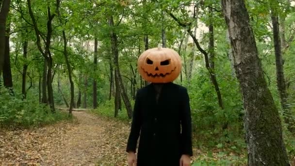 Jack Pumpkinhead Står Skogen Guy Sätter Riktig Pumpa Huvudet Halloween — Stockvideo