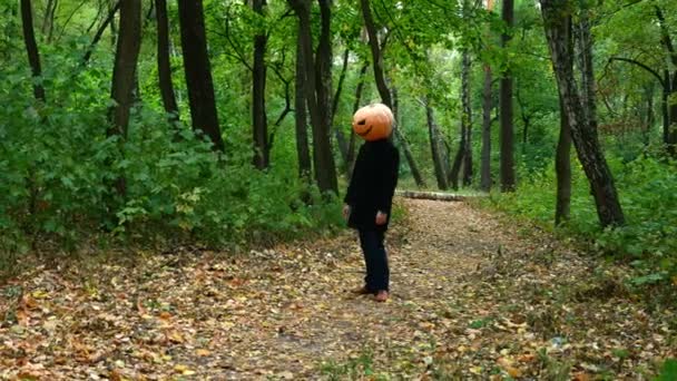 Halloween Tök Fejjel Arcok Őszi Erdőben Mozog Mint Egy Zombi — Stock videók