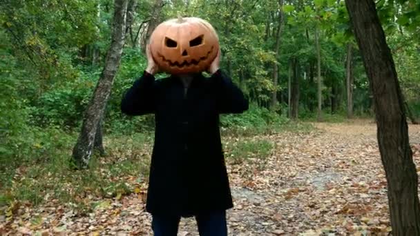 Man Med Pumpa Huvudet Han Griper Tag Huvudet Och Vinkar — Stockvideo