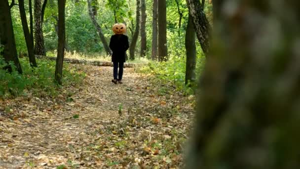 Хеллоуїн Виглядаючи Дерева Можна Побачити Гарбузову Прогулянку Лісі — стокове відео