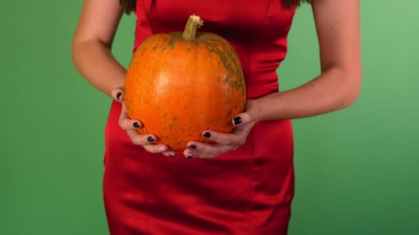 Mujer Hermosa Joven Vestido Rojo Sombrero Bruja Calabaza Las Manos — Vídeo de stock