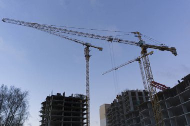 Gece gökyüzüne karşı kule vinç silueti.