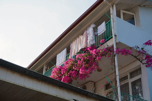 Washed clothes are dried on the balcony of the apartment building. Oleander flowers encircled the balcony of a residential building.