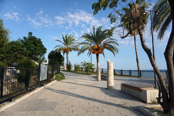 Charmante Gepflasterte Strandpromenade Mit Tropischen Pflanzen Und Palmen Einem Klaren — Stockfoto