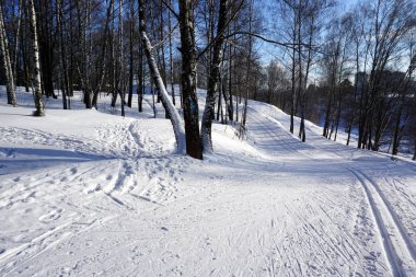 Harika kış manzarası. Soğuk, güneşli bir günde, karlı bir orman. Aktif bir kış tatili için harika bir zaman. Sağlıklı yaşam tarzı.                               