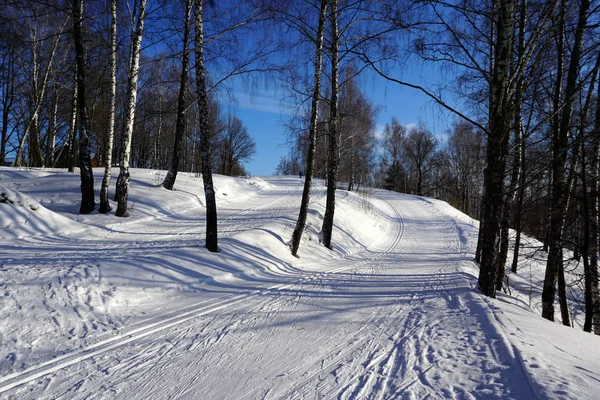 美丽的冬季风景 寒冷阳光明媚的冬季雪地森林 一个活跃的寒假的好时机 健康的生活方式 — 图库照片