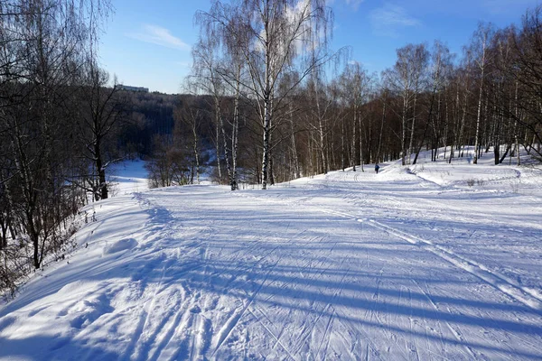 素晴らしい冬の風景 寒い晴れた日には冬の雪の森 アクティブな冬の休日のための素晴らしい時間 健康的なライフスタイル — ストック写真