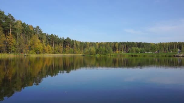 Lago Bosque Con Aguas Tranquilas Fondo Hay Bosque Los Árboles — Vídeos de Stock