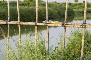 Bu bir bambu yaya köprüsü bulunan bir nehir bir manzara. Her iki taraftan da insanlar köprüden geçiyor. Köprü bambu yapmak için kullanılır