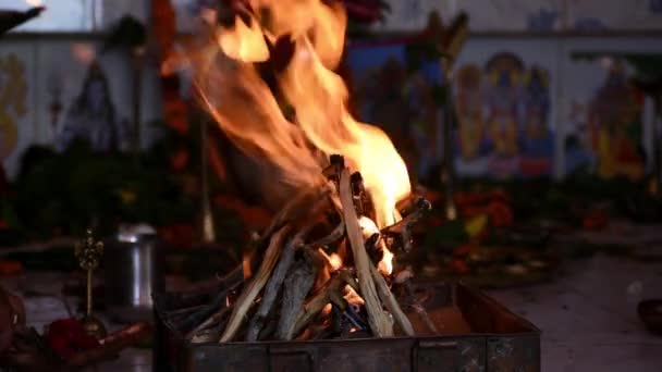 Panditji在做Havan或Yogga Kopja 火锅一种带有一些灯 槟榔叶 樟脑和装饰过的粘土或铜壶中的火的辣椒 — 图库视频影像