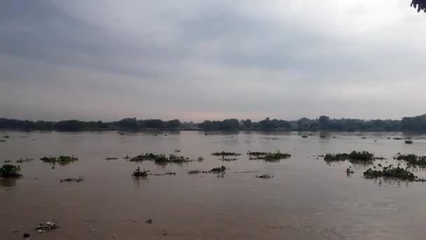 Nagranie Wideo Powodzi Rzece Ganges Ulewnym Deszczu Zachodnim Bengalu Indii — Wideo stockowe