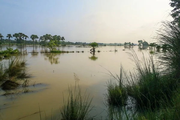 Landscape Flooded Vast Wetlands Half Plants Trees Submerged Water Due Stock Picture