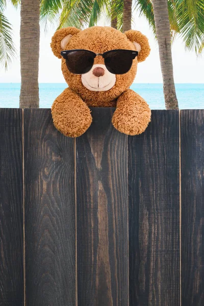 Χαριτωμένο Αρκουδάκι Φοράει Γυαλιά Ηλίου Στην Παραλία Φωτοαντίγραφο Χώρου Ξύλου — Φωτογραφία Αρχείου