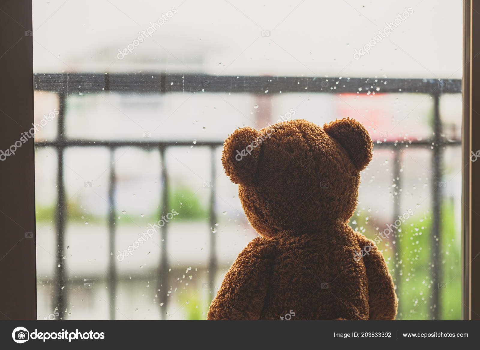 lonely teddy bear