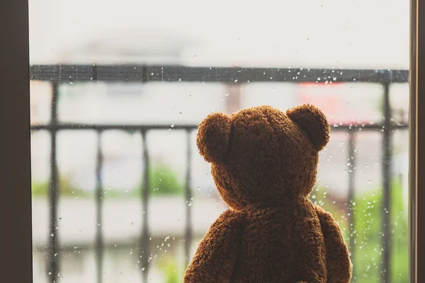 Eenzame Teddybeer Regen — Stockfoto