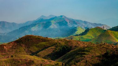 savaş filleri Hills